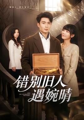错别旧人遇婉晴全集