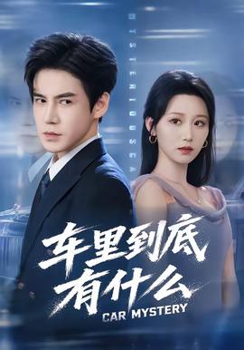 车里到底有什么全集
