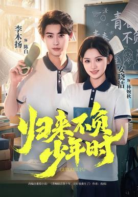 归来不负少年时全集