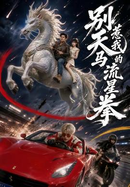 别惹我的天马流星拳全集