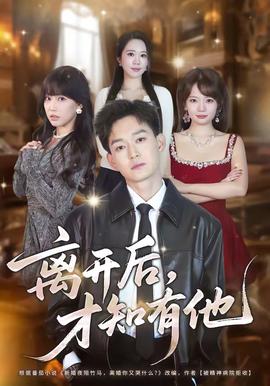 离开后，才知有他全集