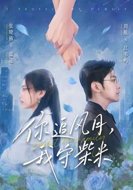 你追风月，我守柴米全集