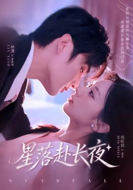 星落赴长夜全集