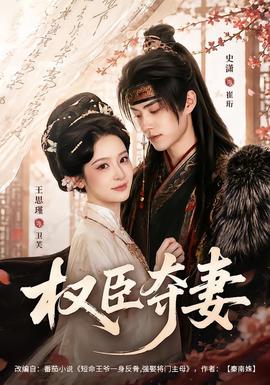 权臣夺妻全集