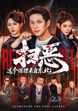 扫恶，这个保镖来自东北全集