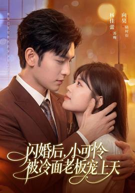 闪婚后，小可怜被冷面老板宠上天全集