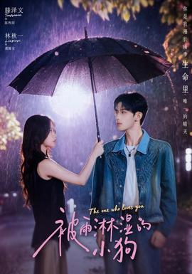 被雨淋湿的小狗全集