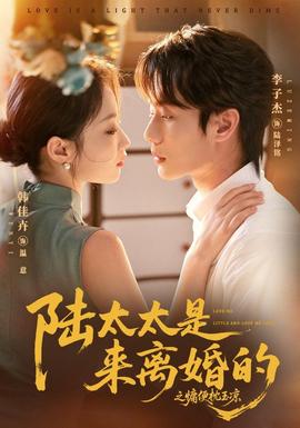 陆太太是来离婚的之慵便枕玉凉全集