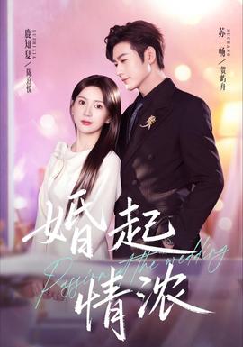 婚起情浓全集