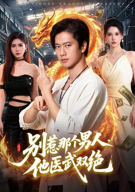 别惹那个男人，他医武双绝全集