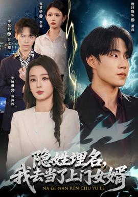 隐姓埋名，我去当了上门女婿全集