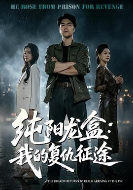 纯阳龙盒：我的复仇征途全集