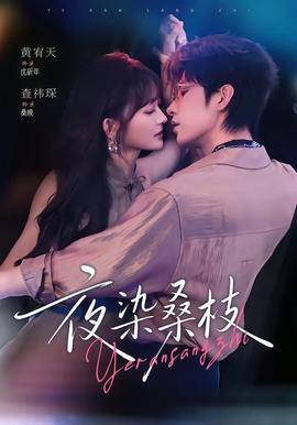 夜染桑枝全集