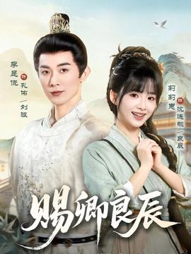 赐卿良辰全集