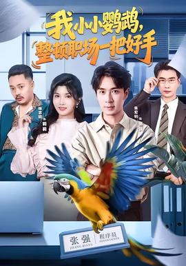 我小小鹦鹉，整顿职场一把好手全集