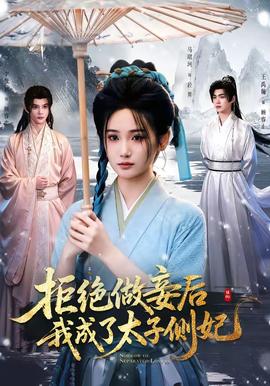 拒绝做妾后我成了太子侧妃全集