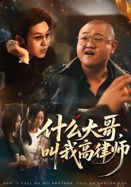 什么大哥，叫我高律师全集