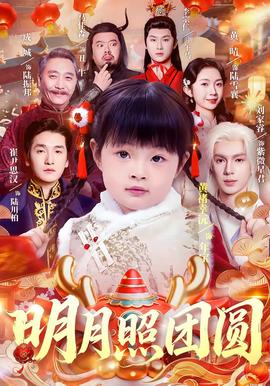 明月照团圆全集