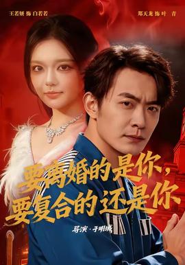 要离婚的是你，要复合的还是你全集