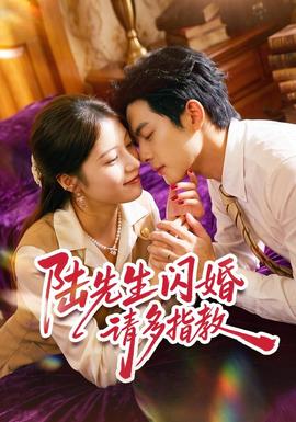 陆先生闪婚请多指教全集