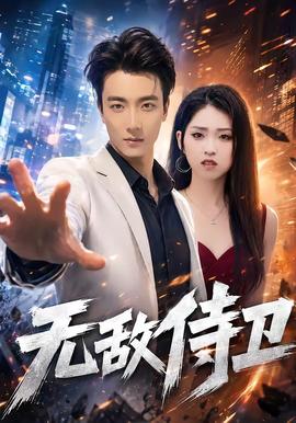 无敌侍卫全集