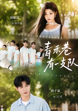 青禾巷有一支队全集