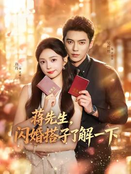 蒋先生，闪婚搭子了解一下全集