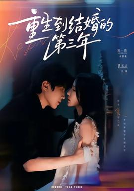 重生到结婚的第三年全集