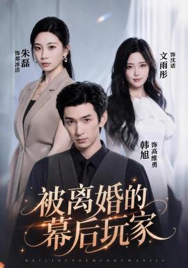 被离婚的幕后玩家全集