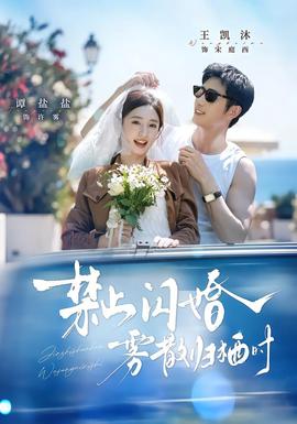 禁止闪婚，雾散归栖时全集