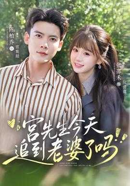 宫先生今天追到老婆了吗全集
