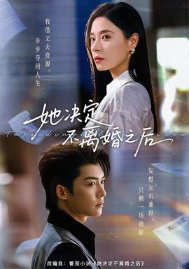 她决定不离婚之后全集