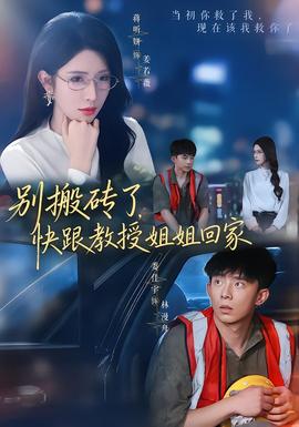 别搬砖了，快跟教授姐姐回家全集