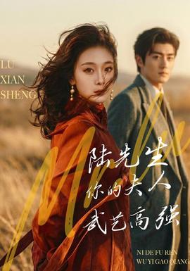 陆先生，你的夫人武艺高强全集