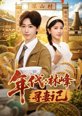 年代：林峰寻妻记全集
