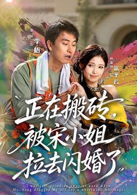正在搬砖，被宋小姐拉去闪婚了全集
