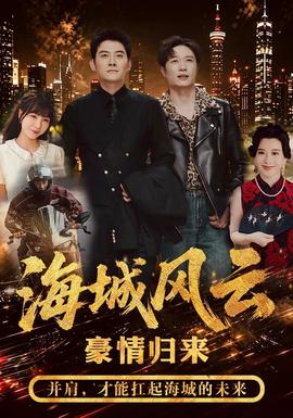 海城风云全集