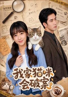 我家猫咪会破案全集