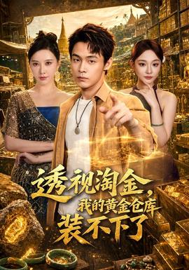 透视淘金，我的黄金仓库装不下了全集