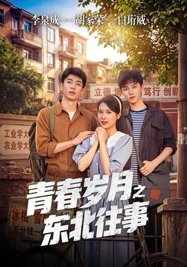 青春岁月之东北往事全集