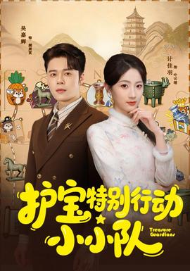 护宝特别行动小小队全集