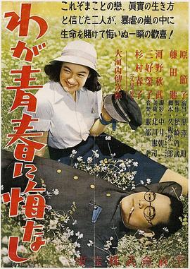 我对青春无悔全集