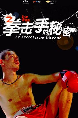 11度青春之[拳击手的秘密]全集