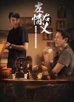 左情右义全集