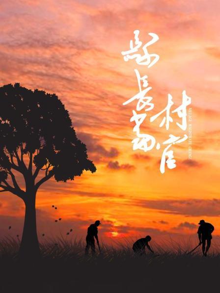 县长当村官全集