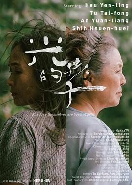 光的孩子全集