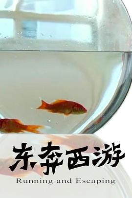 11度青春之[东奔西游]全集