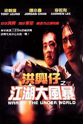 洪兴仔之江湖大风暴全集