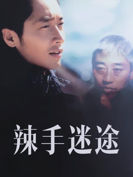 辣手迷途2001全集