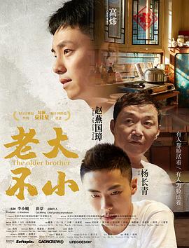 老大不小全集